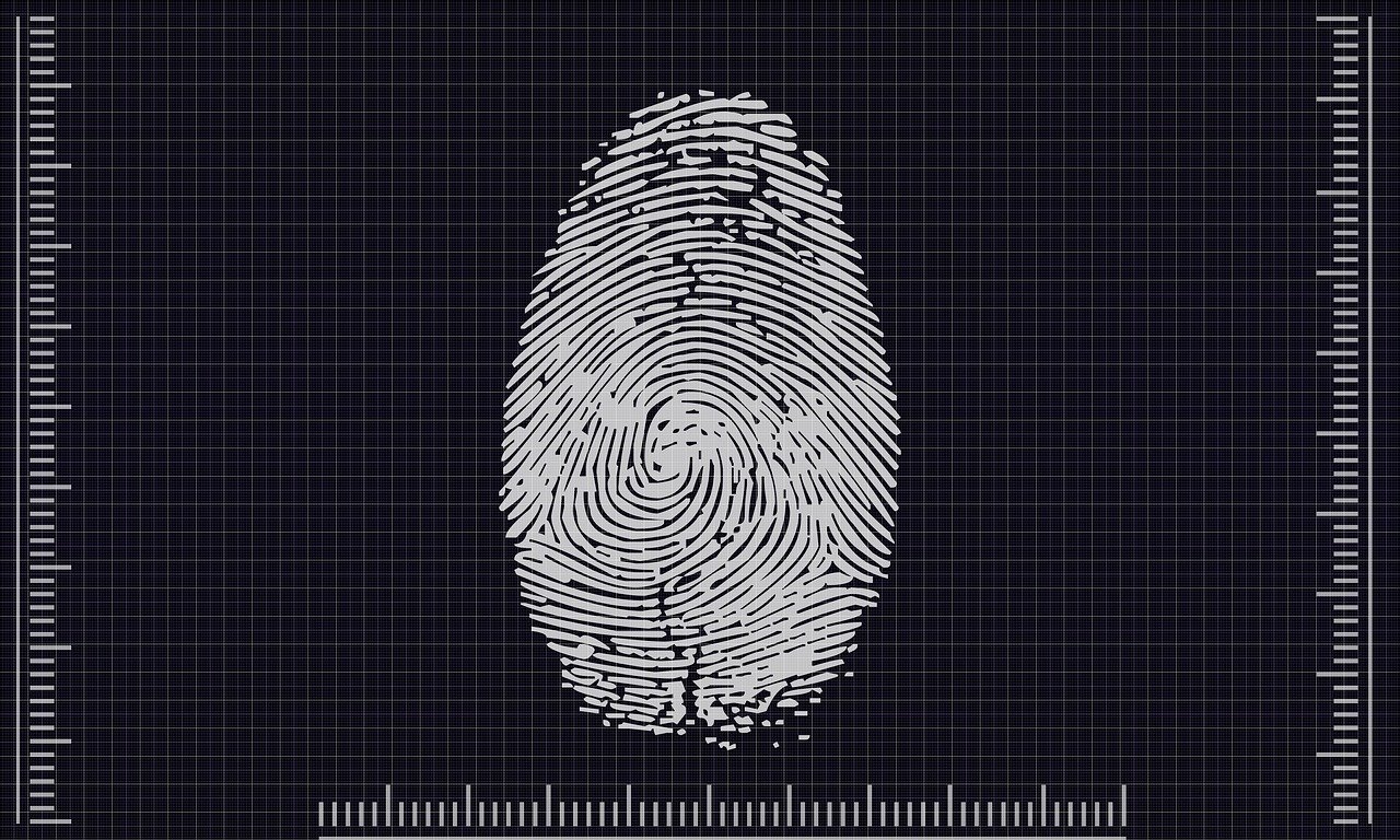 Biometric identity verification